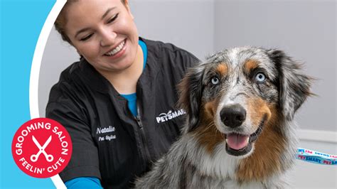 Petsmart dog grooming cost - New puppies mean new responsibilities. PetSmart Services can help with grooming and training your new puppy, as well as provide a safe, ...
